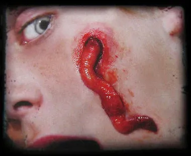 3D FX Transfers  “worms”