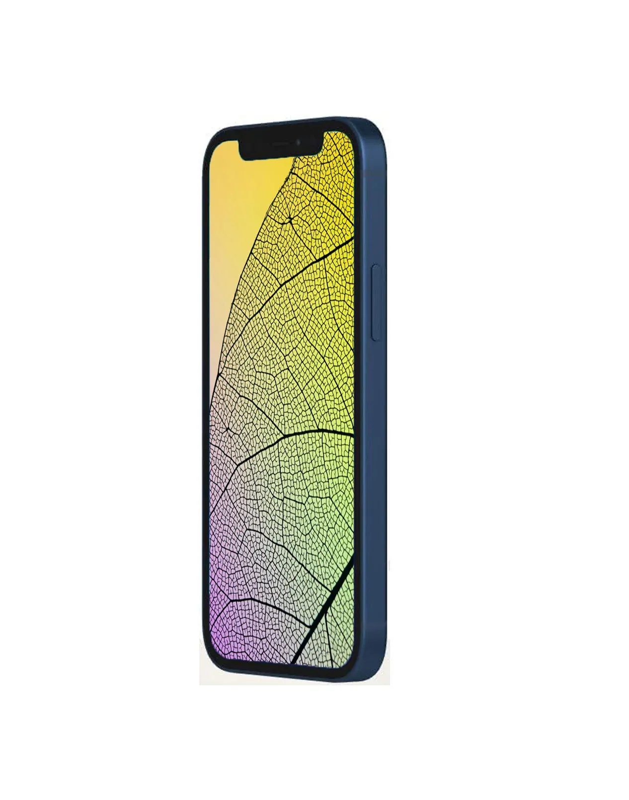 Apple iPhone 12 Mini 64GB (Acceptable Pre-owned) - Image 3