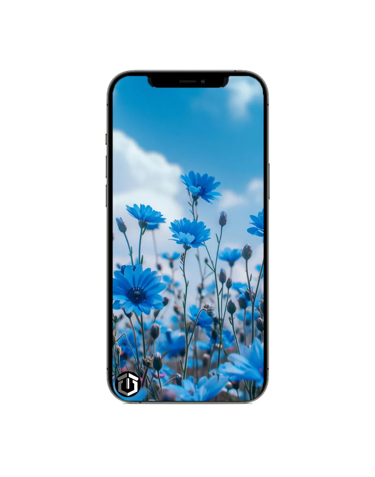 Apple iPhone 12 Pro 128GB 5G (Good-Reconditioned By TechCrazy) - Image 3