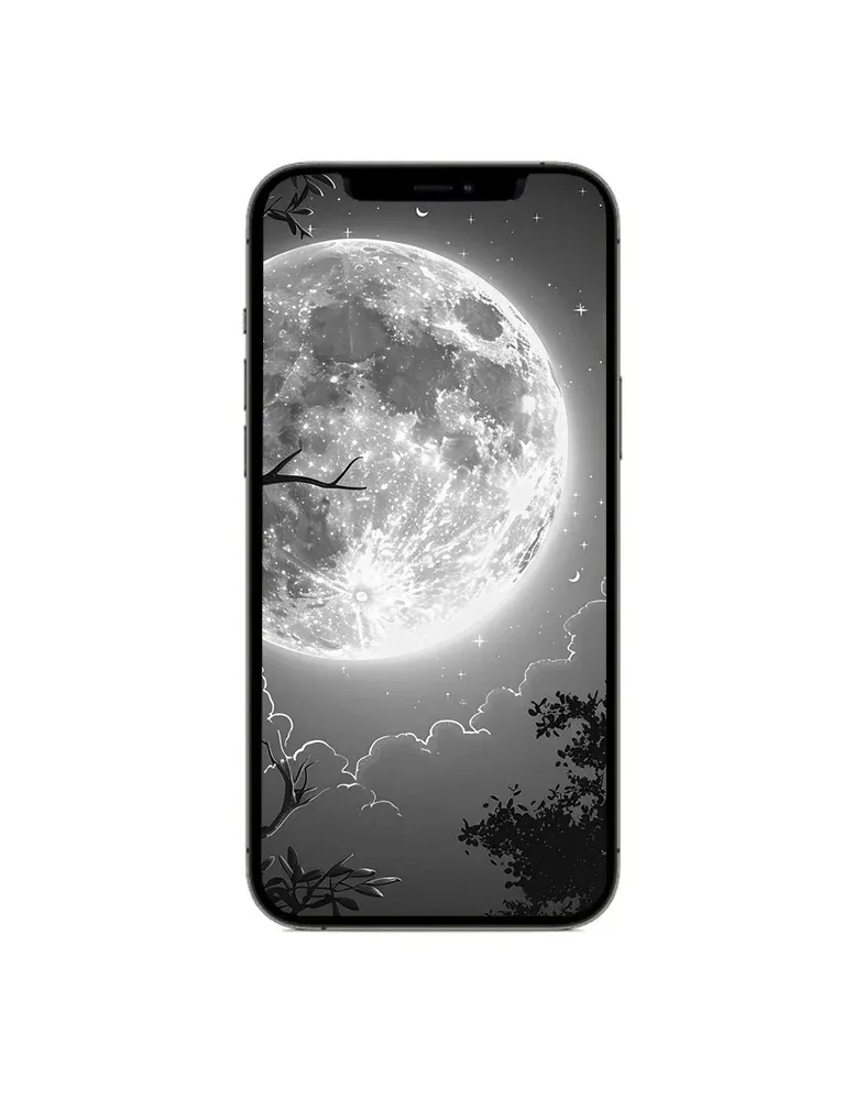 Apple iPhone 12 Pro Max 128GB 5G (Good- Pre-Owned)