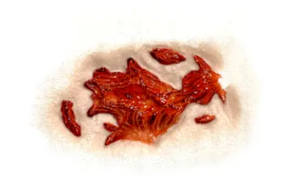 3D FX Transfers "Gash" - Image 5