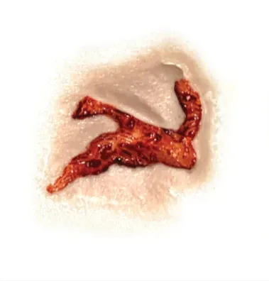 3D FX Transfers "Head Wound" - Image 3