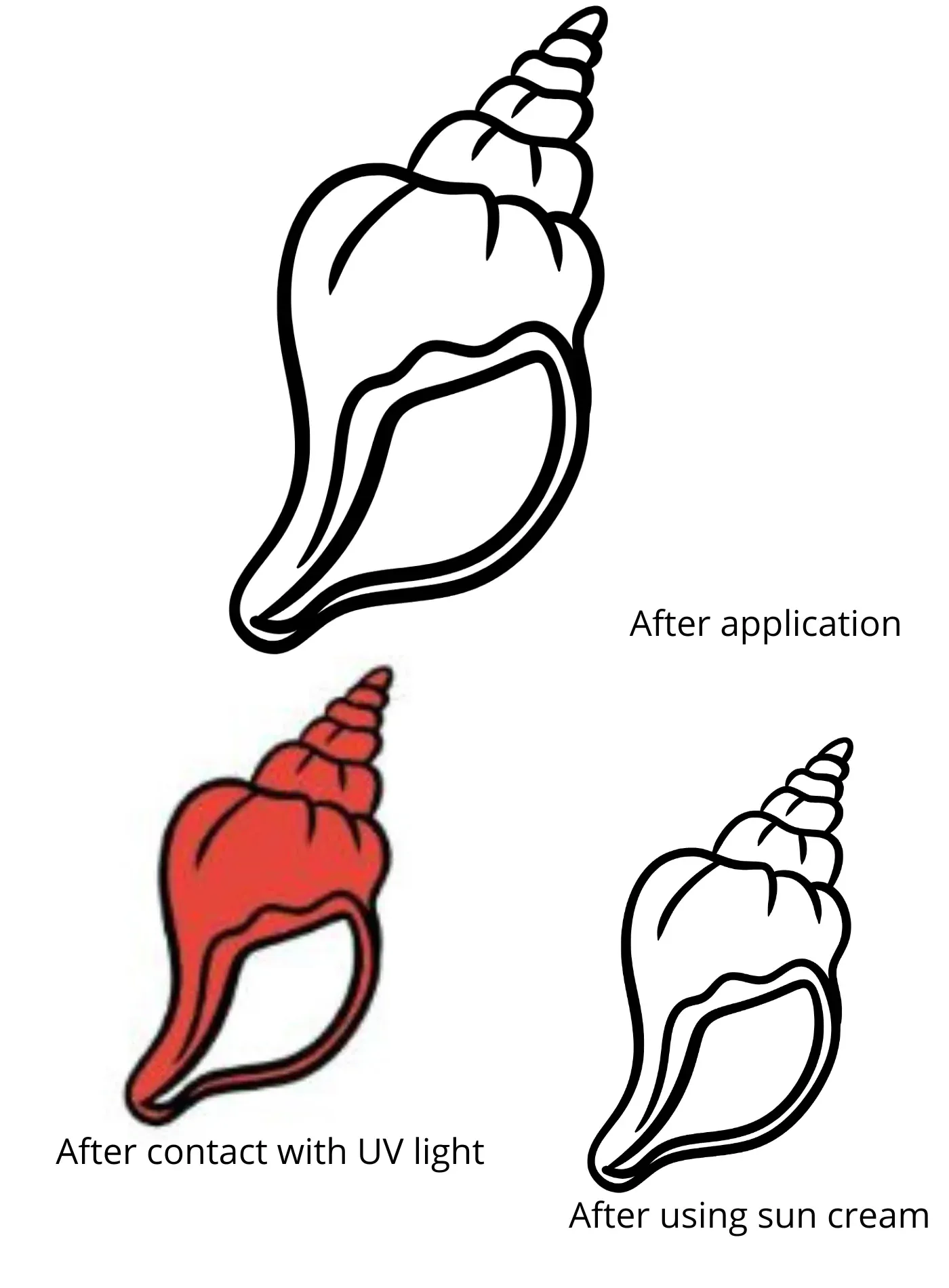 Anti-Burn Temporary Tattoo – Sea Shell