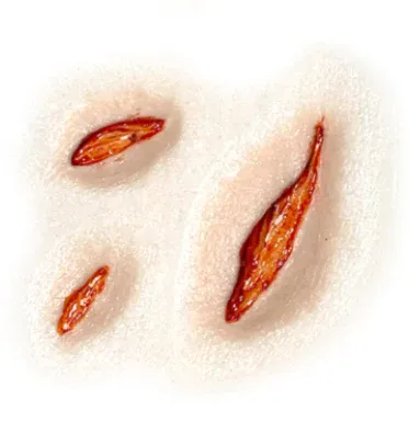 3D FX Transfers "Split Skin" - Image 4