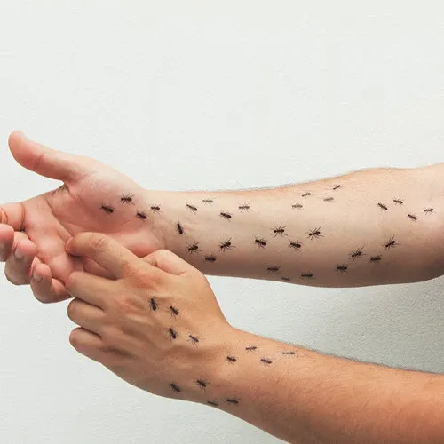 Ants - Tattoonie (4 tattoos) - Image 3