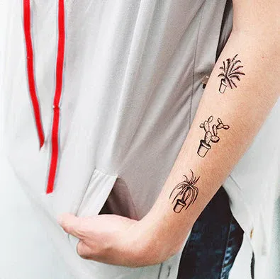 Indoor Plants – Tattoonie