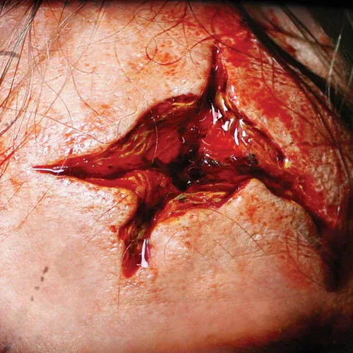 3D FX Transfers  “Point blank”