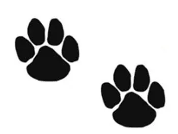 2 Black Paws Tattoos