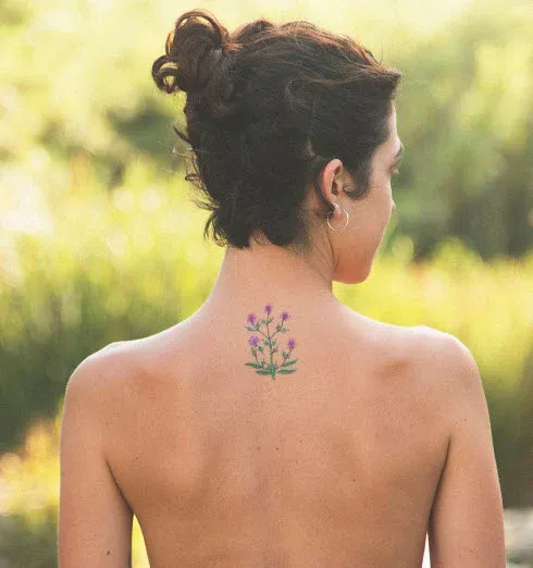 Voynich Plant – Tattoonie